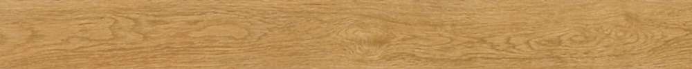 1405--PLATANO 1405--PLATANO