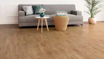 Asi Meşe - 4005 Asi Meşe - 4005
