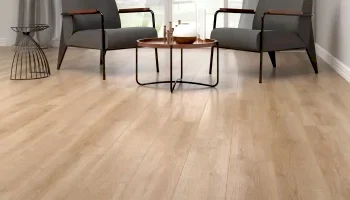Barok Meşe - 2101 Barok Meşe - 2101