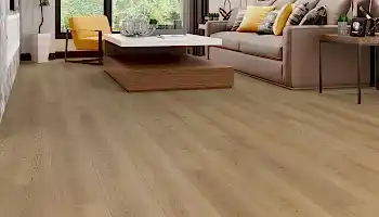Kafkas Meşe - 709 Kafkas Meşe - 709